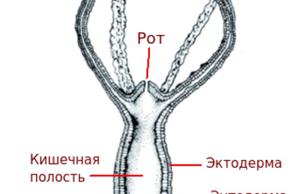 Где найти рабочую ссылку кракен